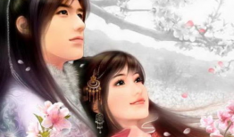 伊人免费视频,揭秘网络直播的魅力与挑战