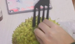 开榴莲视频,香气四溢，揭秘开榴莲全过程